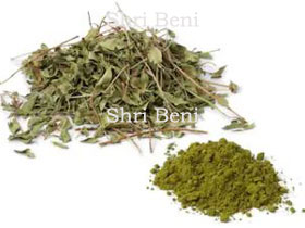 Henna Leaves